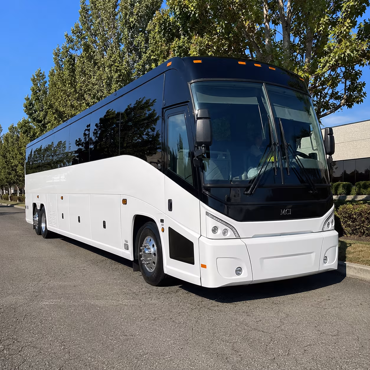 longview 50 passenger charter bus