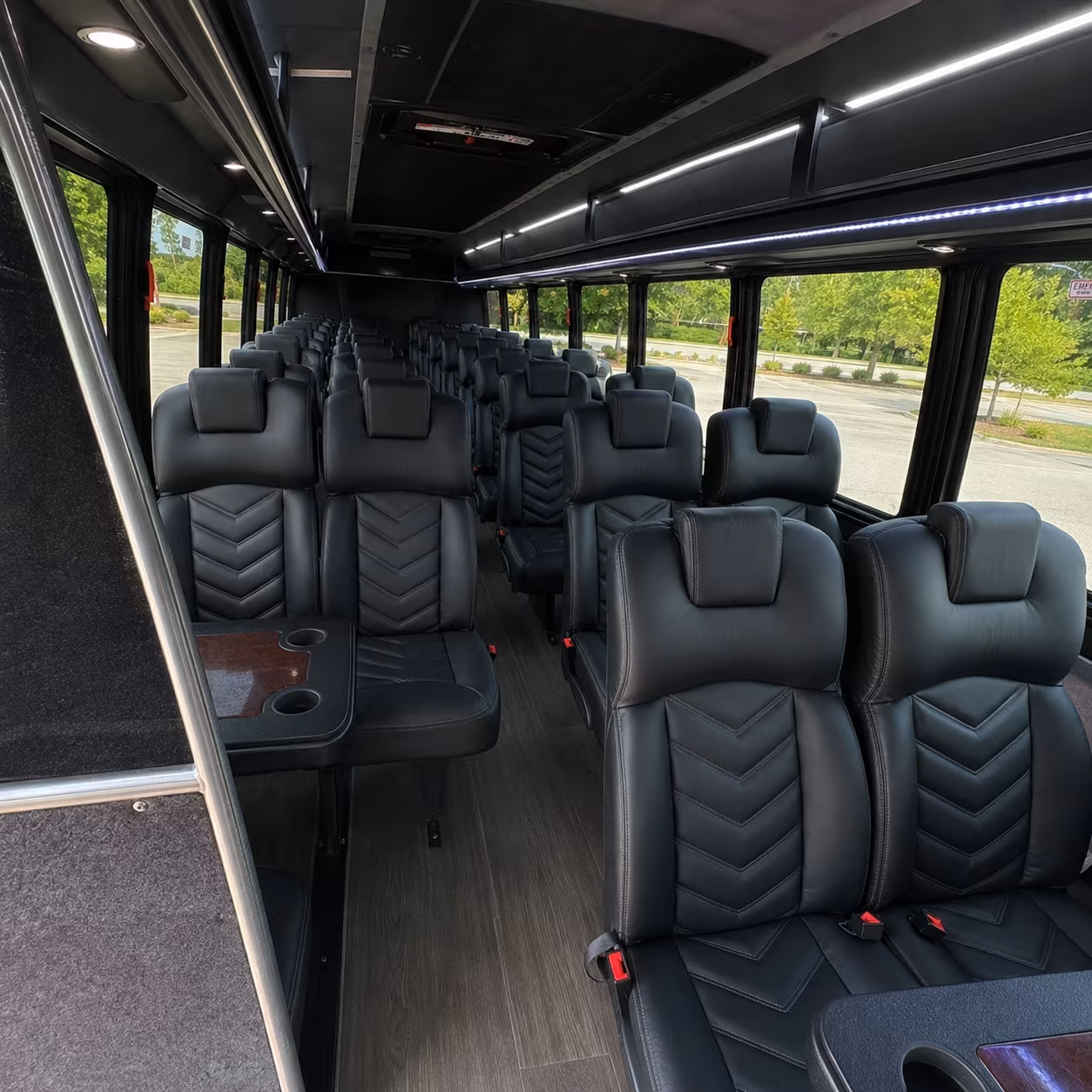 longview birthday party transportation onboard seating