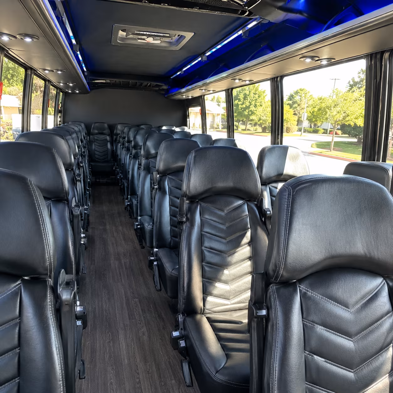 longview birthday party transportation