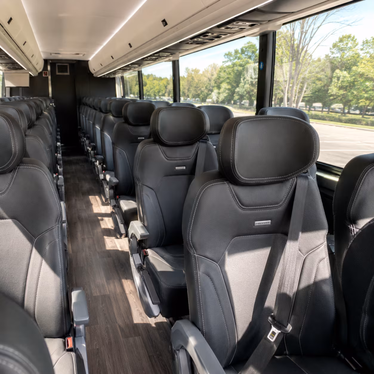 secure transportation for your next field trip 3